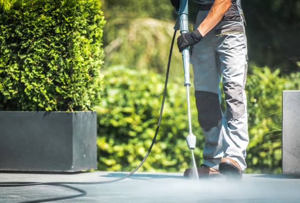 Best Sidewalk and Walkway Cleaning  in Murrells Inlet, SC